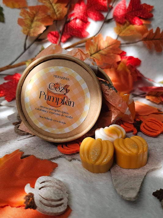 Wax Melts Cozy Pumpkin