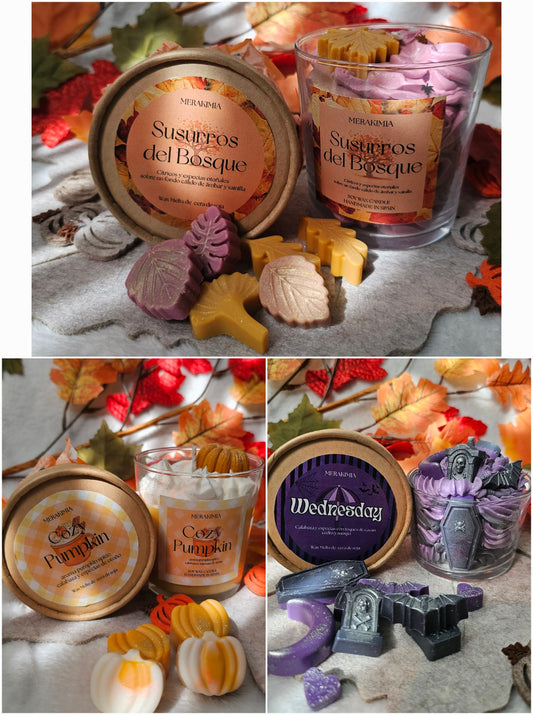 Pack Wax Melts Otoño