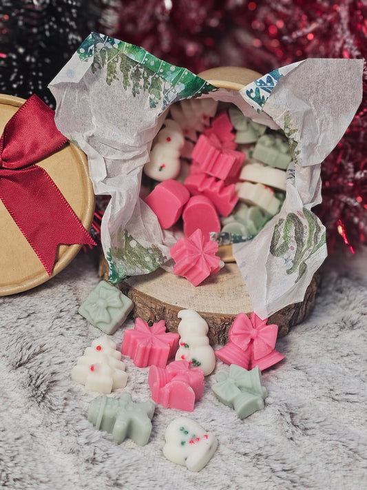 Wax Melts HoHoFlor – Aroma Flor de Pascua