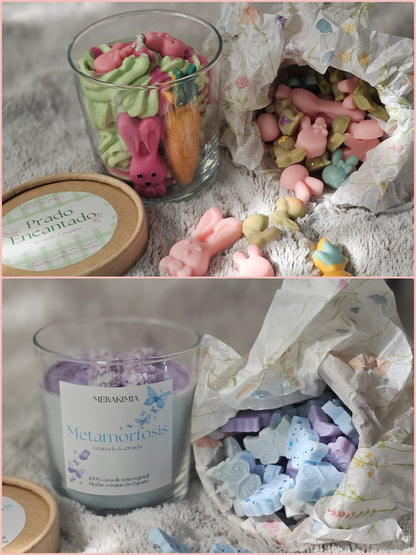 Pack Primavera Completo – Prado Encantado & Metamorfosis